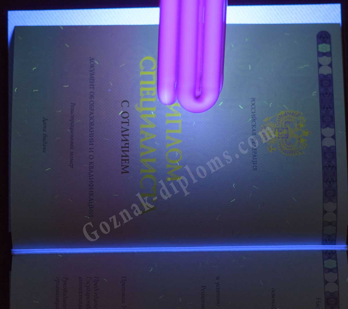 Диплом специалиста с ОТЛИЧИЕМ 2014-2026